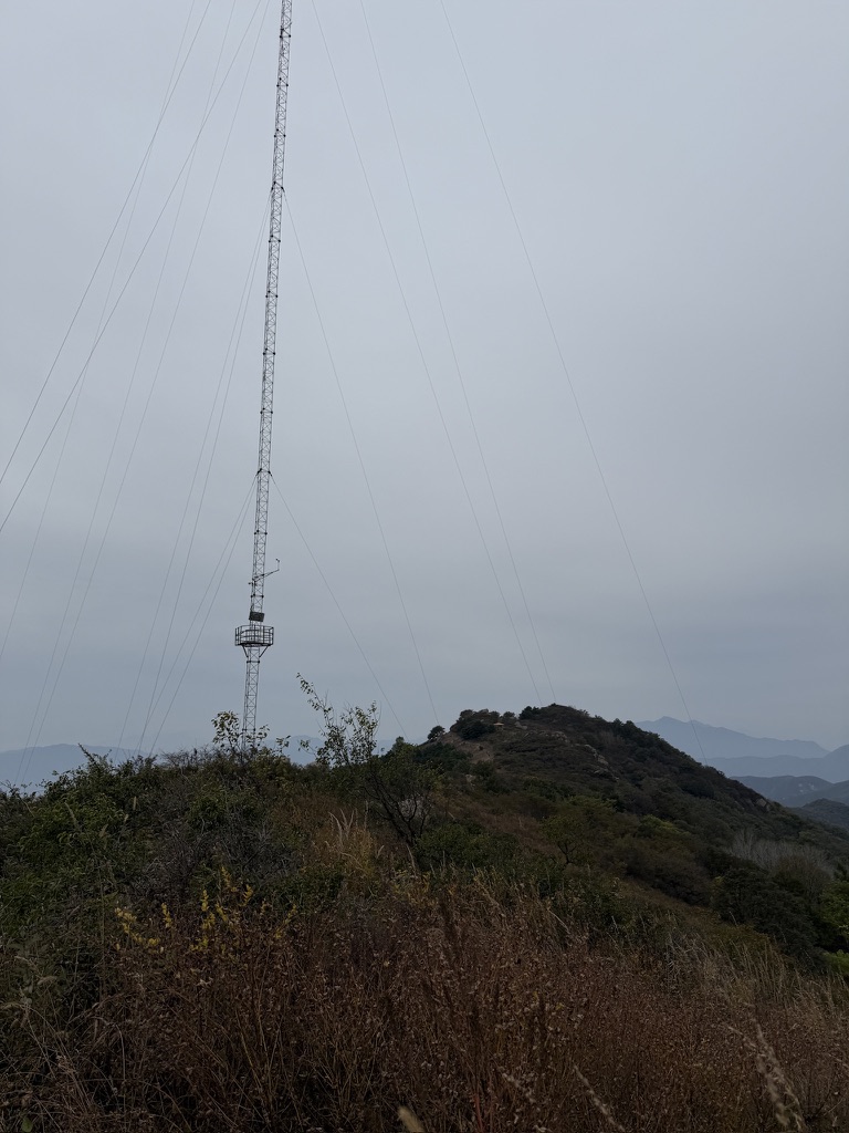 8DE16EAD-79AB-4DA8-91EF-DC6A789C9881_1_105_c